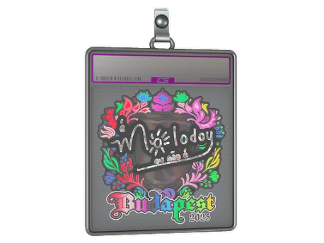 Sticker Slab | molodoy (Holo) | Budapest 2025