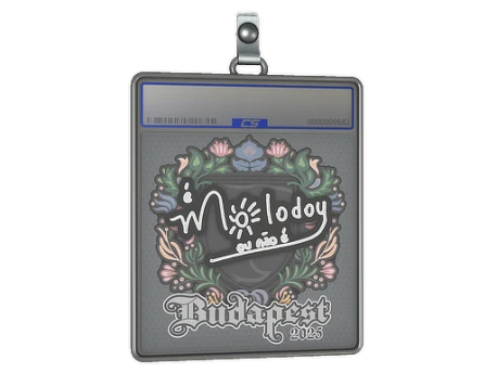 Sticker Slab | molodoy | Budapest 2025