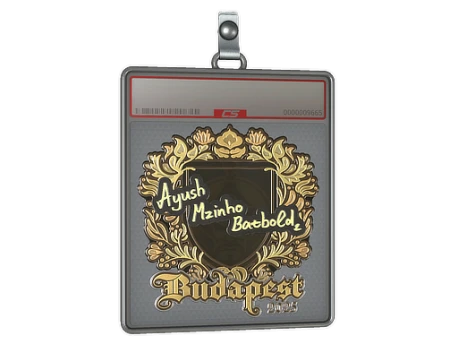 Sticker Slab | mzinho (Gold) | Budapest 2025