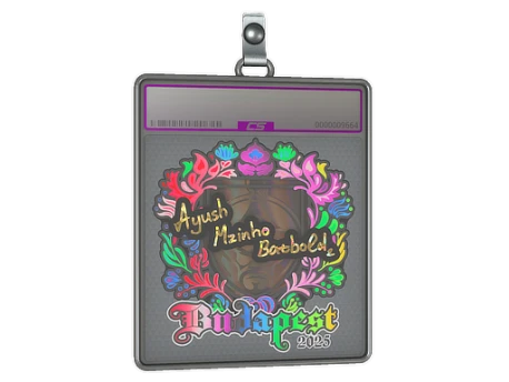 Sticker Slab | mzinho (Holo) | Budapest 2025