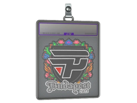 Sticker Slab | paiN Gaming (Embroidered) | Budapest 2025