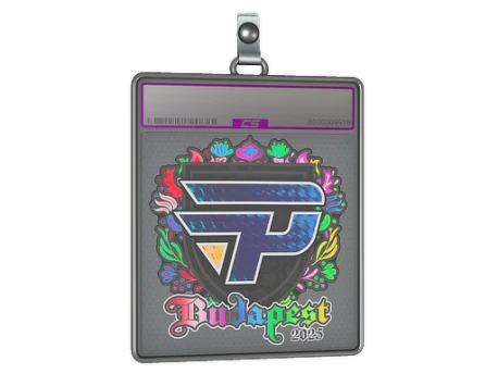 Sticker Slab | paiN Gaming (Holo) | Budapest 2025