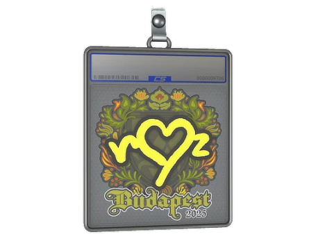 Sticker Slab | ropz | Budapest 2025