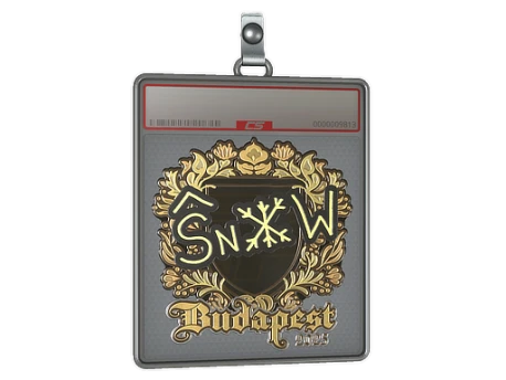 Sticker Slab | snow (Gold) | Budapest 2025