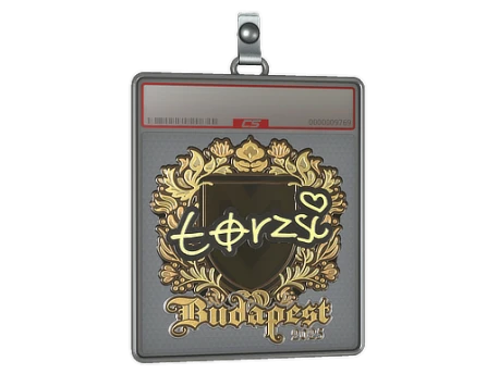 Sticker Slab | torzsi (Gold) | Budapest 2025