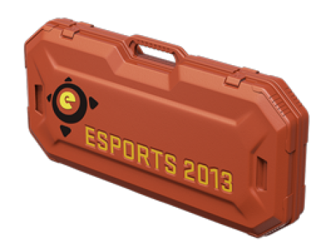 eSports 2013 Case