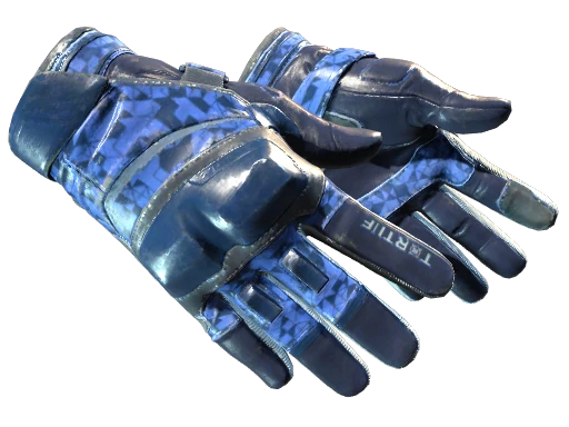★ Moto Gloves | Polygon
