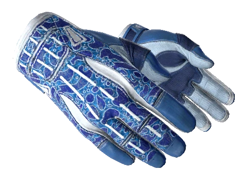 ★ Sport Gloves | Amphibious