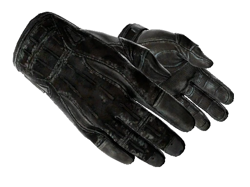 ★ Sport Gloves | Nocts