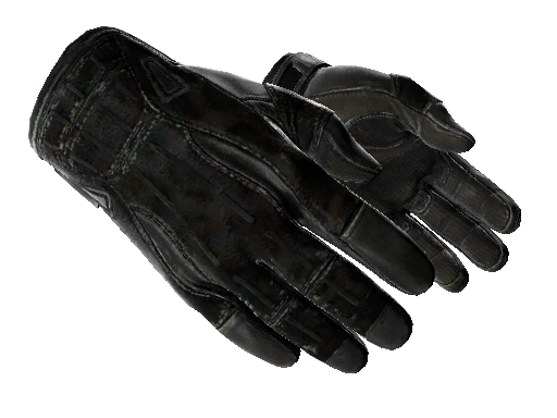 ★ Sport Gloves | Nocts