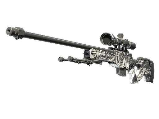 AWP | The End