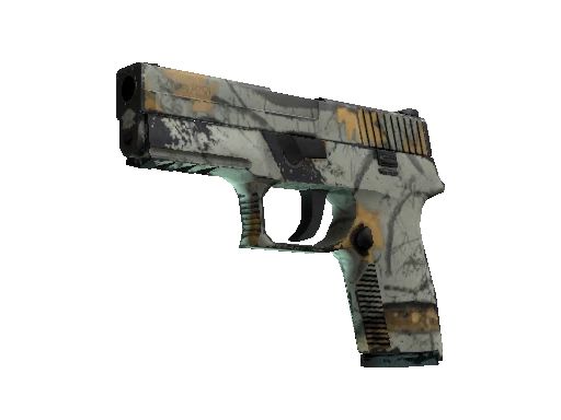 P250 | Modern Hunter
