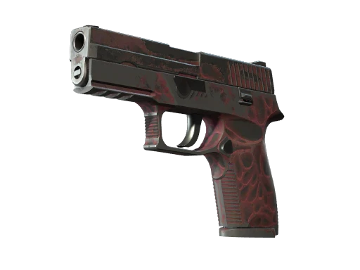 StatTrak™ P250 | Contaminant