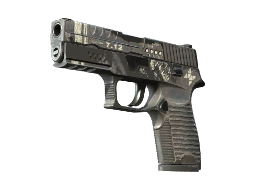 StatTrak™ P250 | Re.built