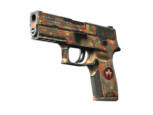 StatTrak™ P250 | Red Rock