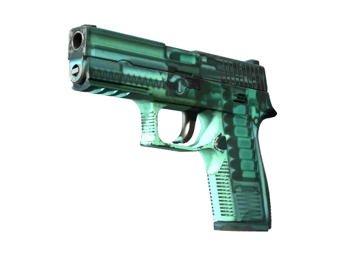 StatTrak™ P250 | X-Ray