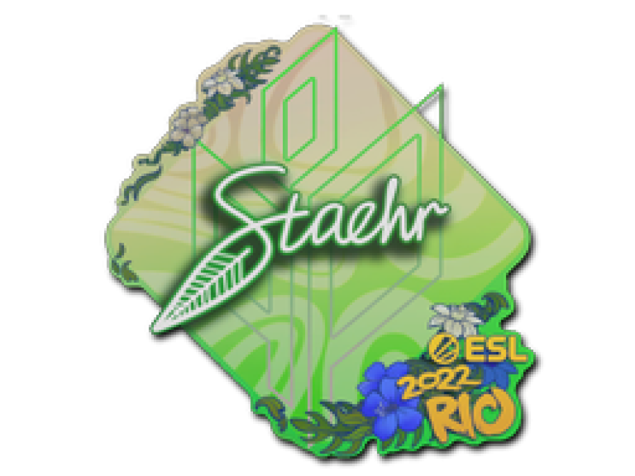 Sticker | Staehr | Rio 2022 () CS2 (CS:GO) | Price on Market CS:GO